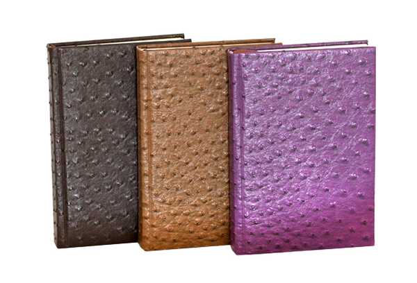 WB5410  Kalender, A5, vordatiert, 196 Seiten 