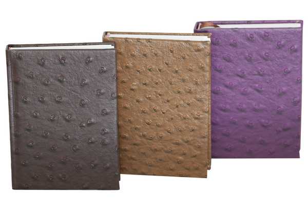 WB6410  Kalender, A6, vordatiert, 196 Seiten 